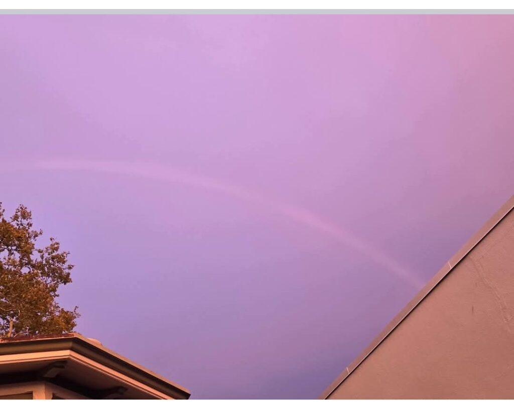 202609 reckless rainbow